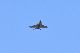 image0590