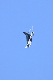 image0608