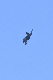 image0610