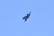 image0611