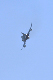 image0640
