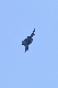 image0642