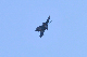 image0643