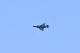 image0663