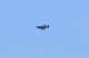 image0664