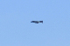 image0665