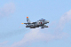 image0666