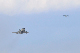 image0679