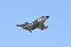 image0685