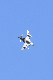 image0744