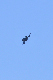 image0747
