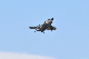image0817