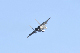 image0914