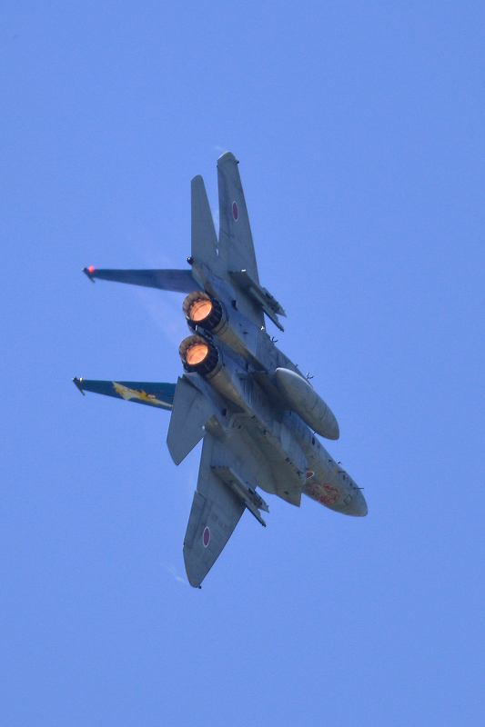 image0131