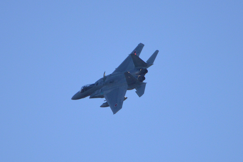 image0817