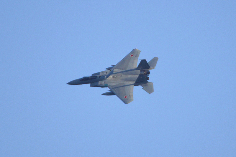image0822