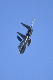 image0812