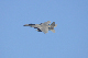 image0827