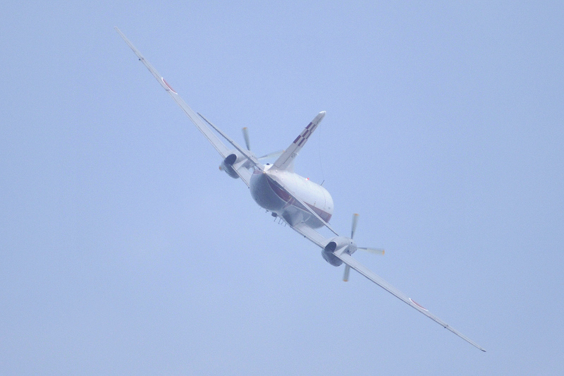 image0181