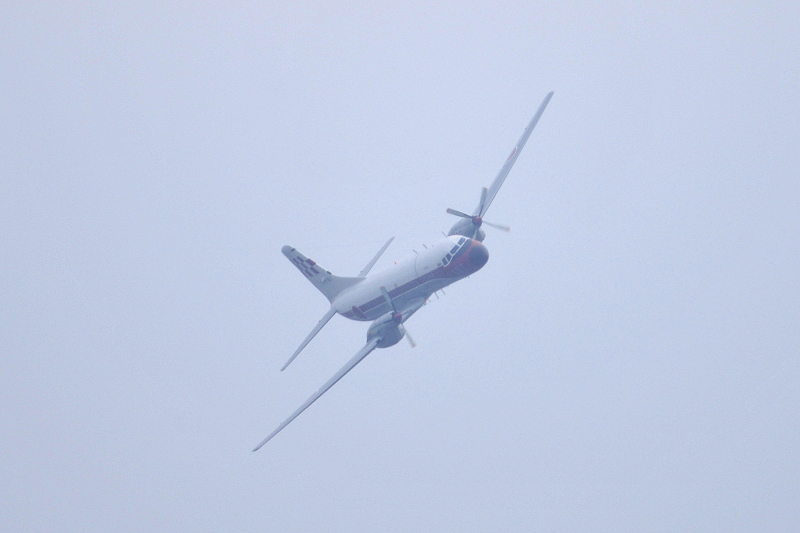 image0208