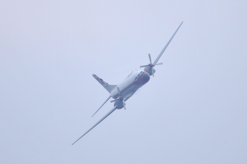 image0209