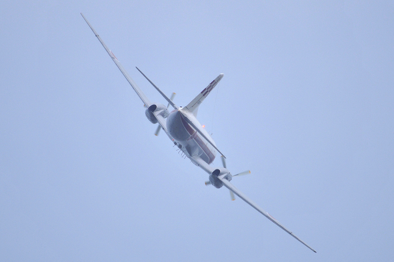 image0229