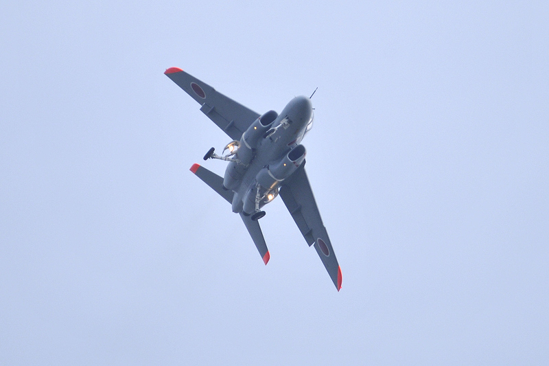 image0445