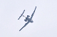 image0251