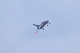 image0376