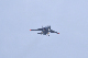 image0377