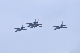 image0482