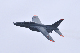 image0491