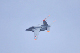 image0499