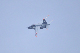image0500