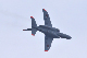 image0576
