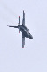 image0578