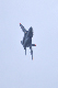 image0591