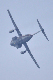 image0766