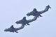 image0801
