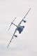 image0838
