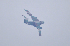 image0867