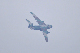 image0868