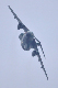 image0877