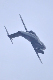 image0901