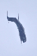 image0905