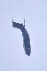 image0906