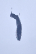 image0907