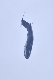 image0908