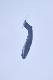image0909