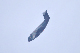 image0911